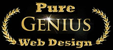Pure Genius Web Design